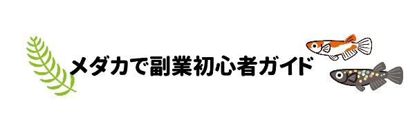 メダカで副業初心者ガイド